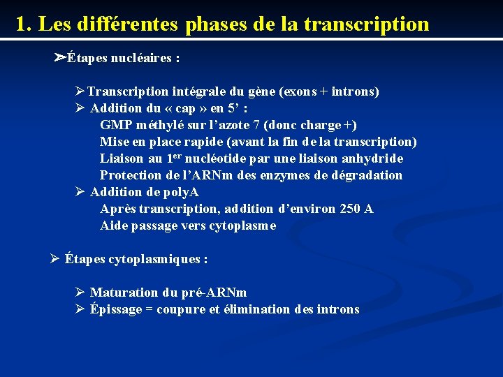 1. Les différentes phases de la transcription ➣Étapes nucléaires : ØTranscription intégrale du gène