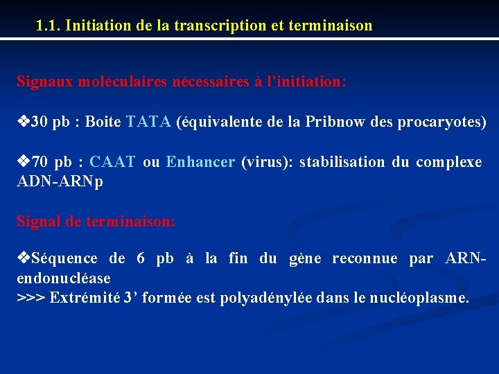 1. 1. Initiation de la transcription et terminaison Signaux moléculaires nécessaires à l’initiation: 30