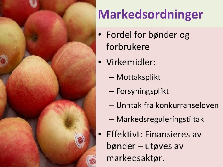 Markedsordninger • Fordel for bønder og forbrukere • Virkemidler: – Mottaksplikt – Forsyningsplikt –