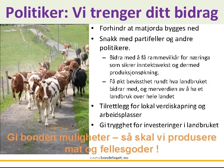 Politiker: Vi trenger ditt bidrag • Forhindr at matjorda bygges ned • Snakk med