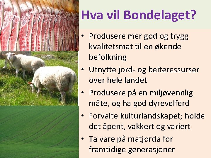 Hva vil Bondelaget? • Produsere mer god og trygg kvalitetsmat til en økende befolkning