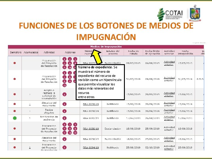 FUNCIONES DE LOS BOTONES DE MEDIOS DE IMPUGNACIÓN Número de expediente. Se muestra el