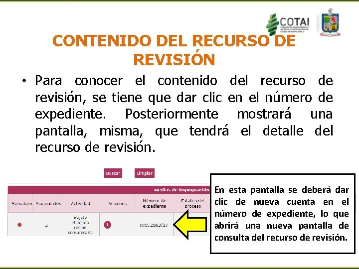 CONTENIDO DEL RECURSO DE REVISIÓN • Para conocer el contenido del recurso de revisión,