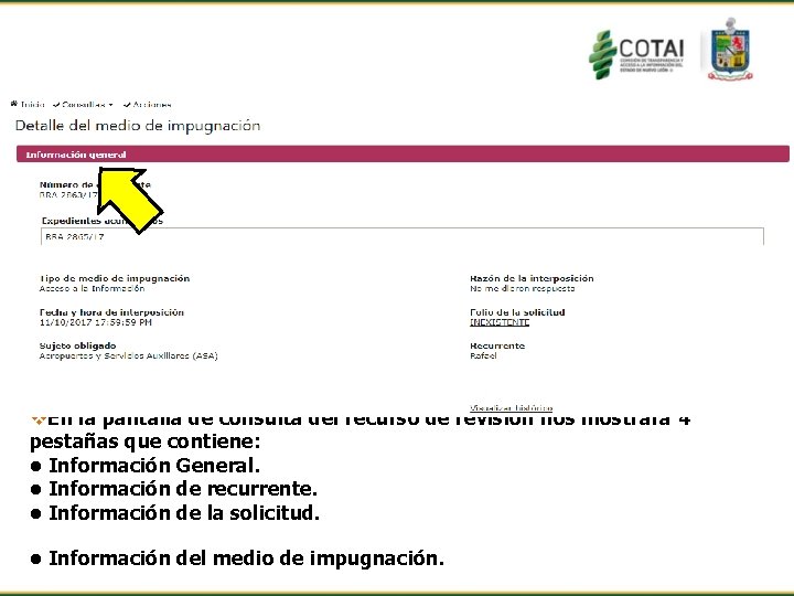 v. En la pantalla de consulta del recurso de revisión nos mostrará 4 pestañas