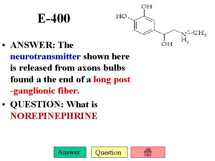 E-400 • ANSWER: The neurotransmitter shown here is released from axons bulbs found a