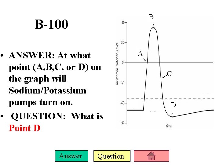 B B-100 • ANSWER: At what point (A, B, C, or D) on the