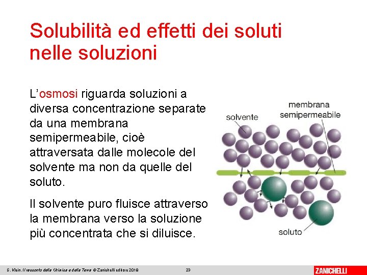 Solubilità ed effetti dei soluti nelle soluzioni L’osmosi riguarda soluzioni a diversa concentrazione separate