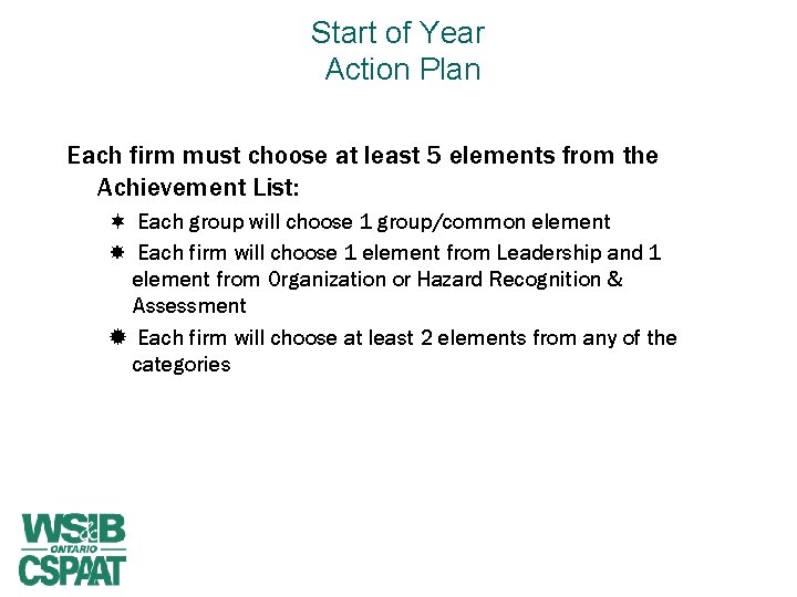 Start of Year Action Plan Each firm must choose at least 5 elements from