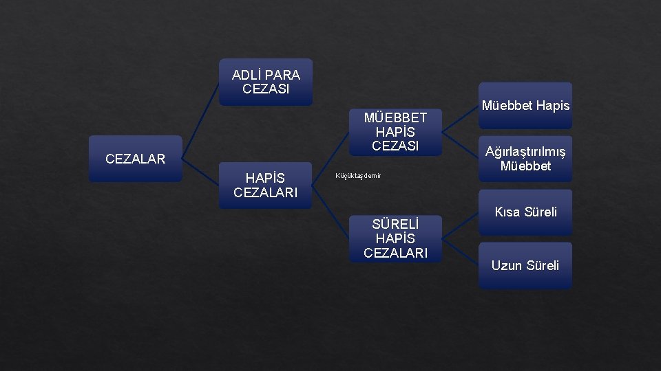 ADLİ PARA CEZASI MÜEBBET HAPİS CEZASI CEZALAR HAPİS CEZALARI Küçüktaşdemir SÜRELİ HAPİS CEZALARI Müebbet