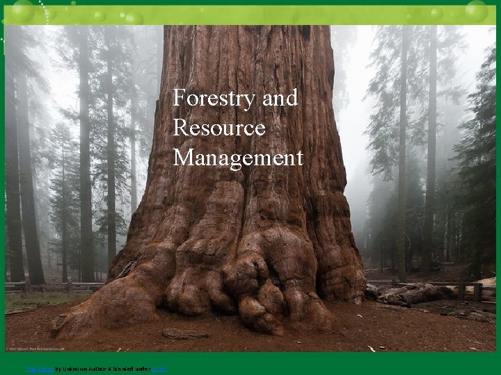 CHAPTER 11 Forestry and Resource Management This Photo by Unknown Author is licensed under