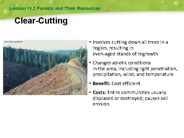 Lesson 11. 2 Forests and Their Resources Clear-Cutting • Involves cutting down all trees