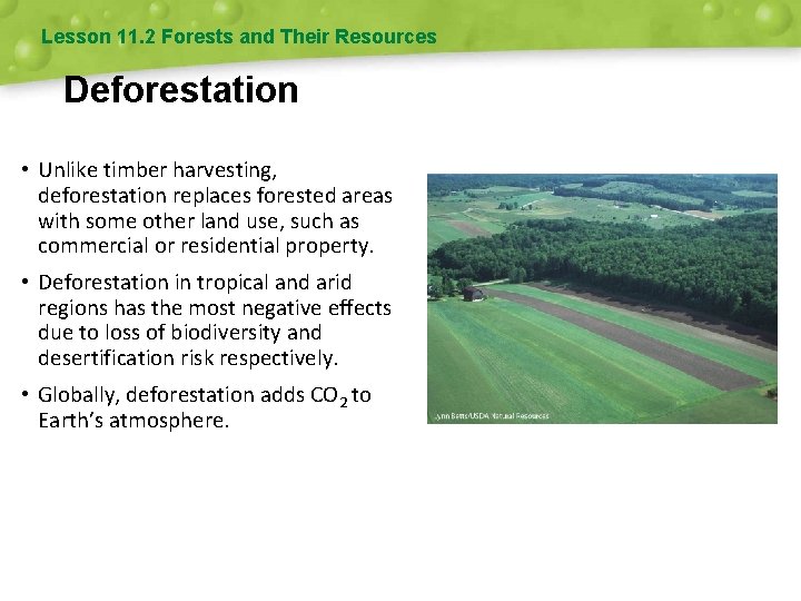 Lesson 11. 2 Forests and Their Resources Deforestation • Unlike timber harvesting, deforestation replaces