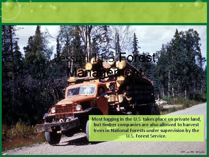 Lesson 11. 3 Forest Management Most logging in the U. S. takes place on