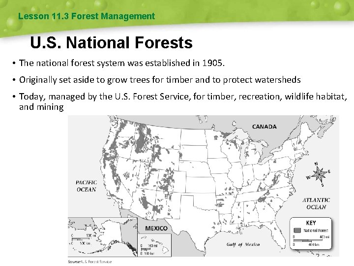 Lesson 11. 3 Forest Management U. S. National Forests • The national forest system