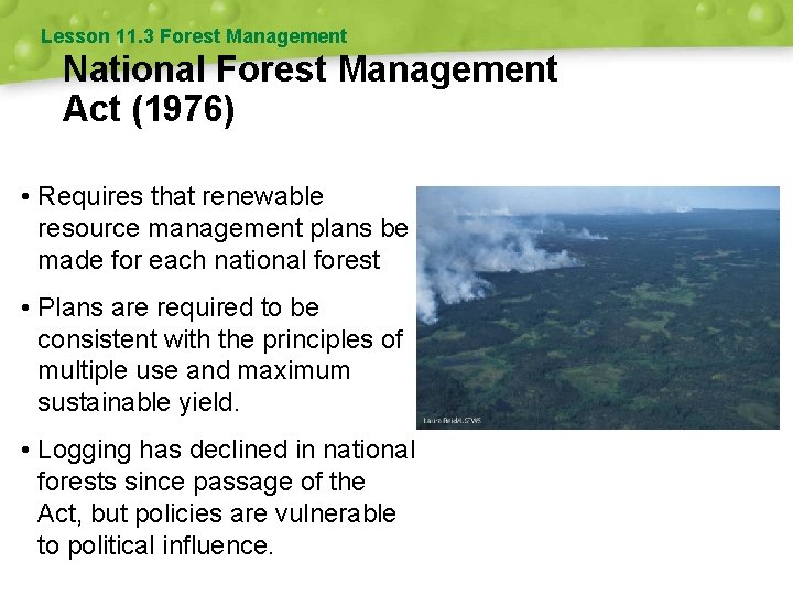Lesson 11. 3 Forest Management National Forest Management Act (1976) • Requires that renewable