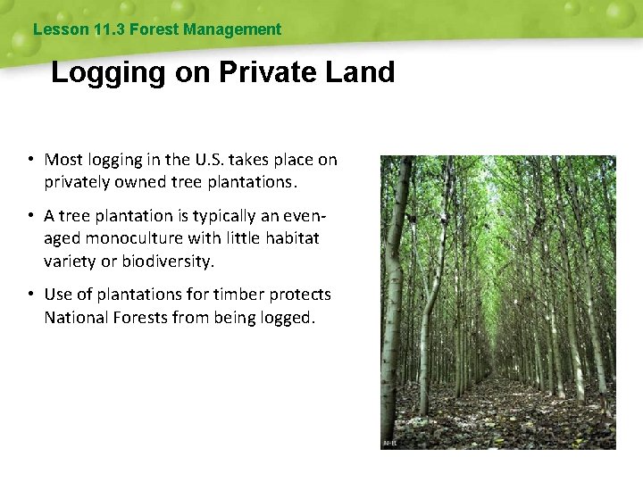 Lesson 11. 3 Forest Management Logging on Private Land • Most logging in the