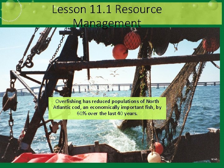 Lesson 11. 1 Resource Management Overfishing has reduced populations of North Atlantic cod, an