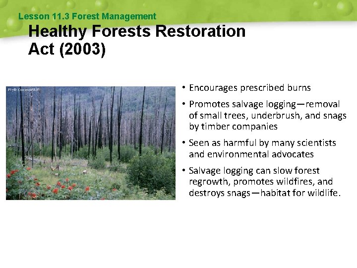 Lesson 11. 3 Forest Management Healthy Forests Restoration Act (2003) • Encourages prescribed burns