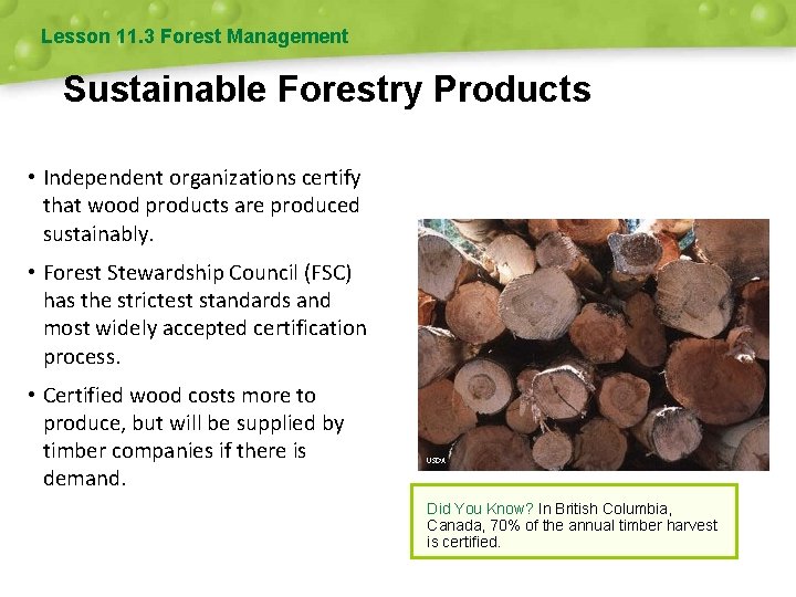 Lesson 11. 3 Forest Management Sustainable Forestry Products • Independent organizations certify that wood