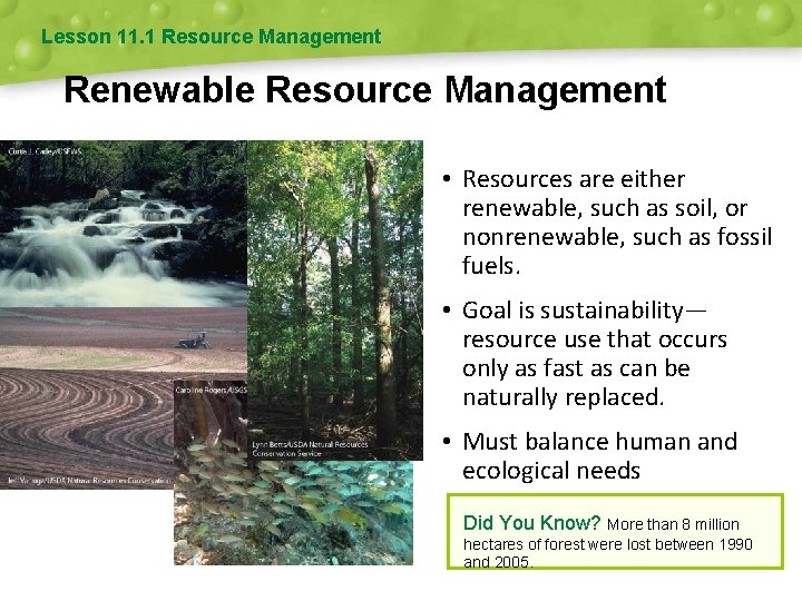 Lesson 11. 1 Resource Management Renewable Resource Management • Resources are either renewable, such