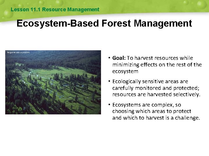 Lesson 11. 1 Resource Management Ecosystem-Based Forest Management • Goal: To harvest resources while