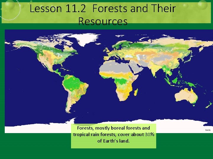 Lesson 11. 2 Forests and Their Resources Forests, mostly boreal forests and tropical rain