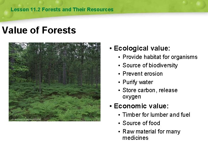 Lesson 11. 2 Forests and Their Resources Value of Forests • Ecological value: •