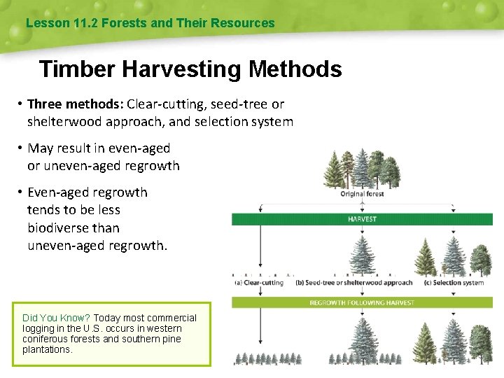 Lesson 11. 2 Forests and Their Resources Timber Harvesting Methods • Three methods: Clear-cutting,