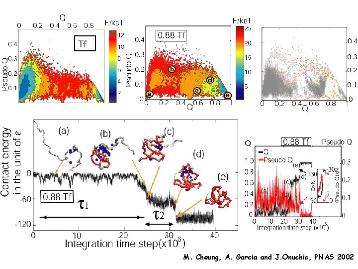 Tf M. Cheung, A. Garcia and J. Onuchic, PNAS 2002 