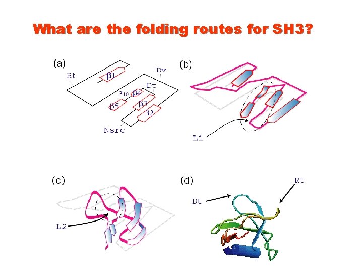 What are the folding routes for SH 3? 
