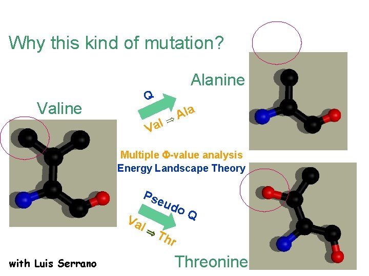 Why this kind of mutation? Alanine Q Valine Val la A Multiple -value analysis