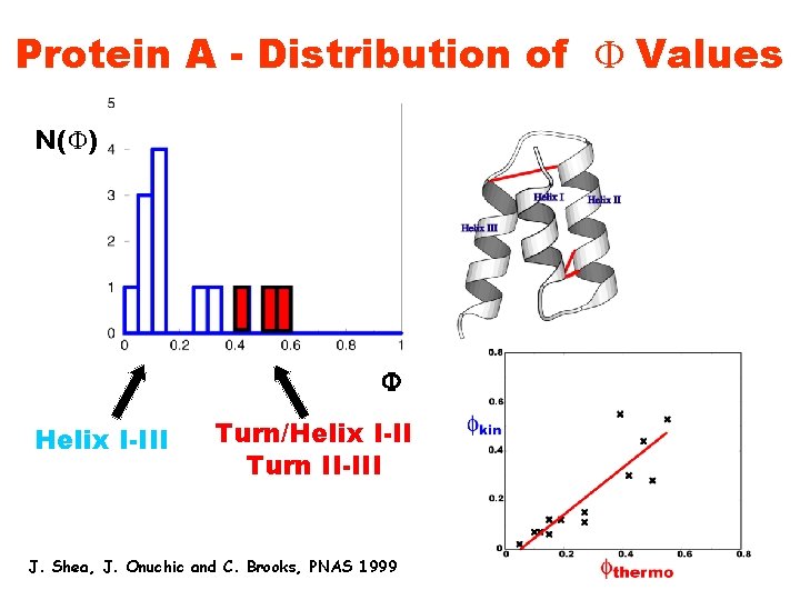 Protein A - Distribution of F Values N(F) Helix I-III Turn/Helix I-II Turn II-III