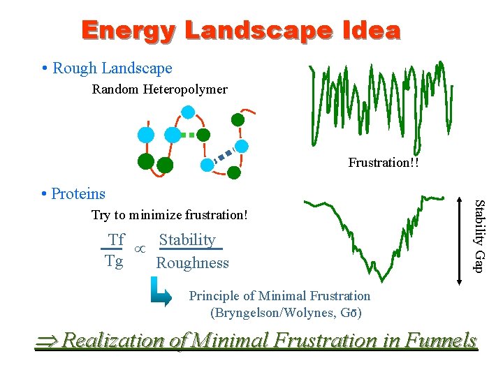 Energy Landscape Idea • Rough Landscape Random Heteropolymer Frustration!! Try to minimize frustration! Tf