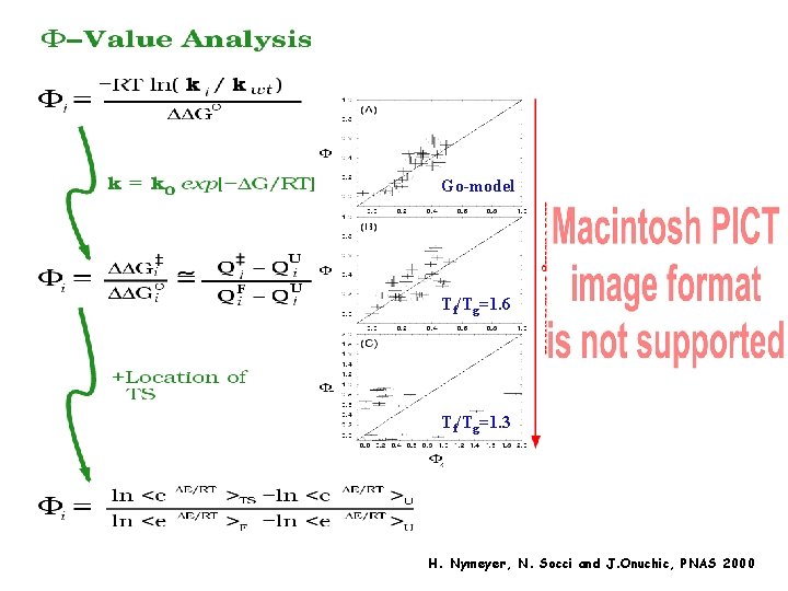 Go-model Tf/Tg=1. 6 Tf/Tg=1. 3 H. Nymeyer, N. Socci and J. Onuchic, PNAS 2000