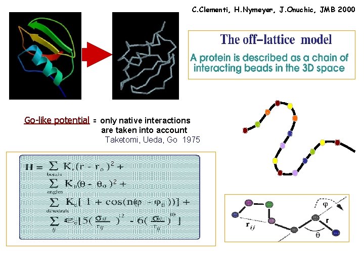 C. Clementi, H. Nymeyer, J. Onuchic, JMB 2000 Go-like potential = only native interactions