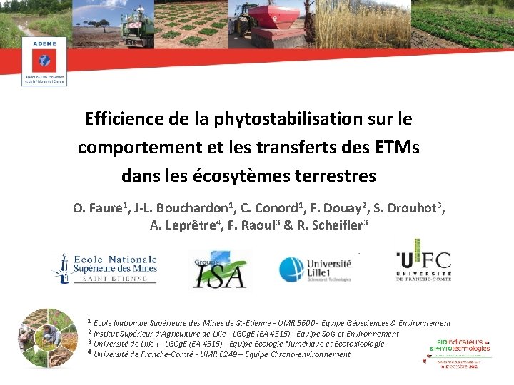 Efficience de la phytostabilisation sur le comportement et les transferts des ETMs dans les