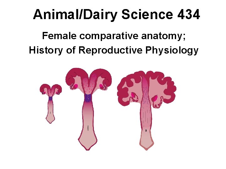 Animal/Dairy Science 434 Female comparative anatomy; History of Reproductive Physiology 