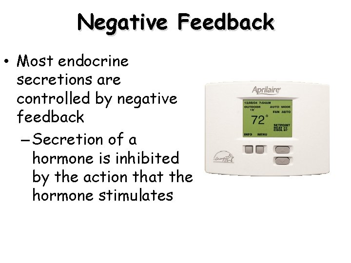 Negative Feedback • Most endocrine secretions are controlled by negative feedback – Secretion of Negative Feedback • Most endocrine secretions are controlled by negative feedback – Secretion of