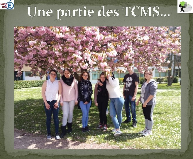 Une partie des TCMS… 