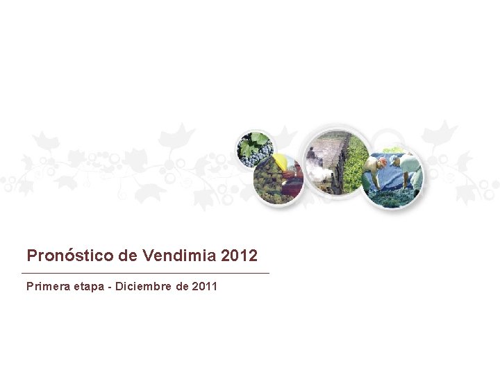 Pronóstico de Vendimia 2012 Primera etapa - Diciembre de 2011 