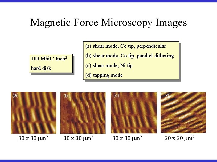 Magnetic Force Microscopy Images (a) shear mode, Co tip, perpendicular 100 Mbit / Inch