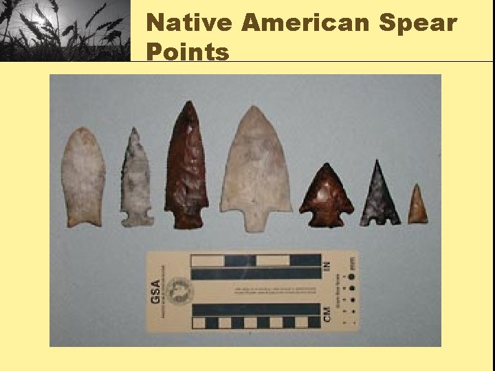 Native American Spear Points 