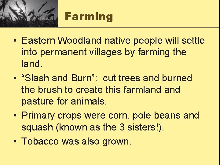 Farming • Eastern Woodland native people will settle into permanent villages by farming the