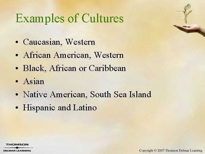 Examples of Cultures • • • Caucasian, Western African American, Western Black, African or