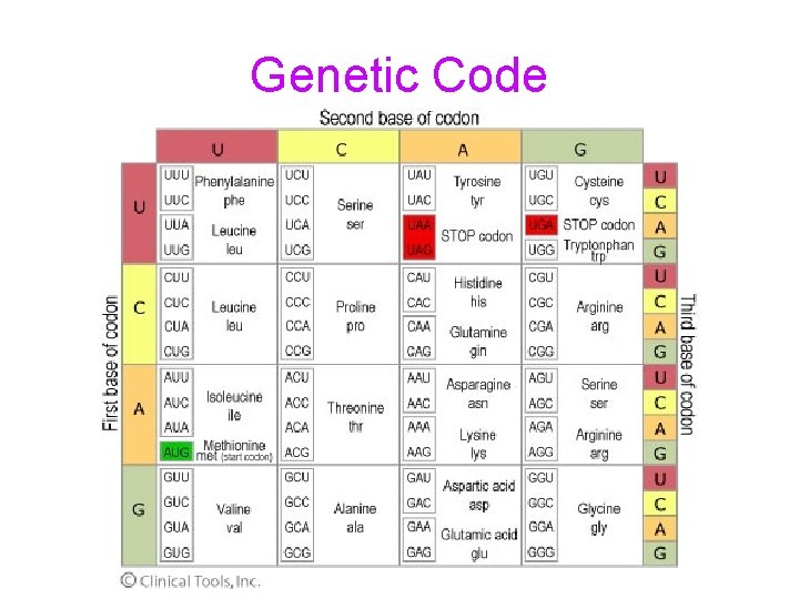 Genetic Code 