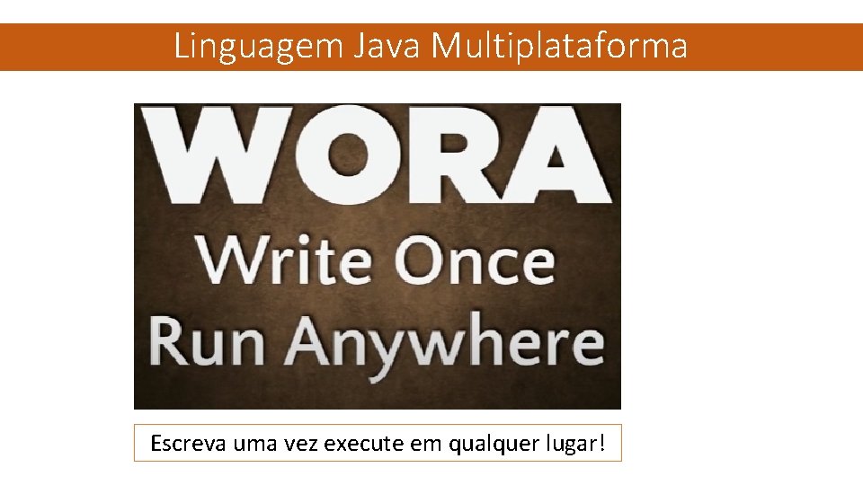 Linguagem Java Multiplataforma Escreva uma vez execute em qualquer lugar! 