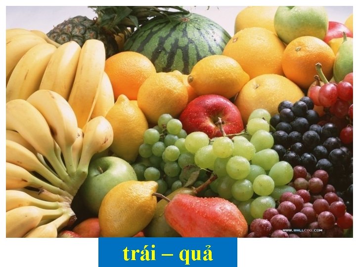 trái – quả 