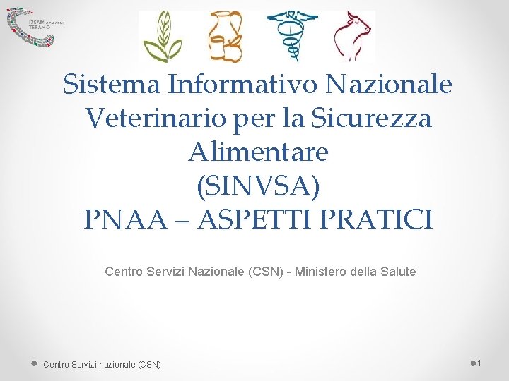 Sistema Informativo Nazionale Veterinario per la Sicurezza Alimentare (SINVSA) PNAA – ASPETTI PRATICI Centro