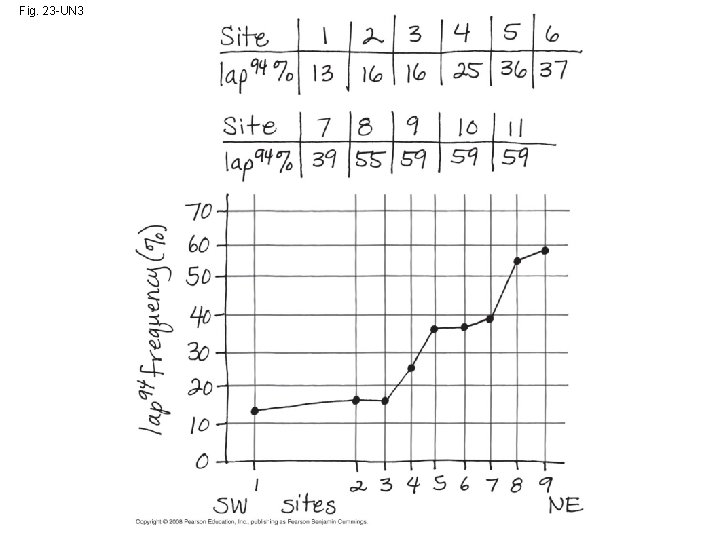 Fig. 23 -UN 3 