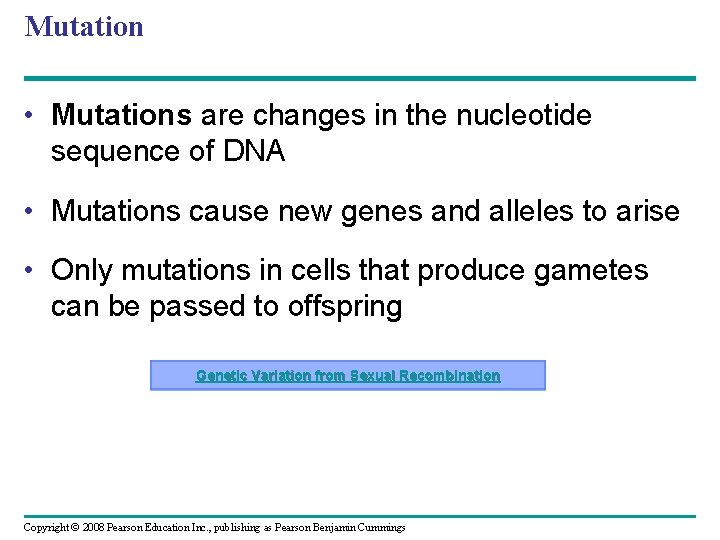 Mutation • Mutations are changes in the nucleotide sequence of DNA • Mutations cause